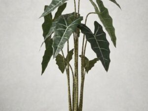 Alocasia Artificial