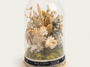 Cúpula flores Preservadas blancas