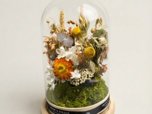 Cúpula de flores Preservadas otoñal