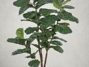 Ficus Artificial