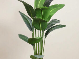 Strelitzia Artificial